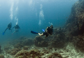 Fujairah Diving Trip - 1 Dive with Full Equipment 